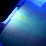 Купить диплом в Новосибирске